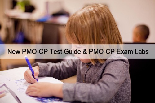 New PMO-CP Test Guide & PMO-CP Exam Labs